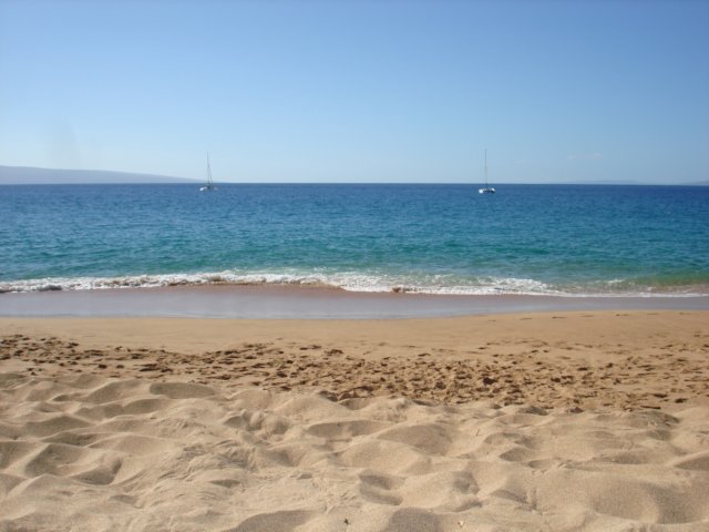 beach.jpg
