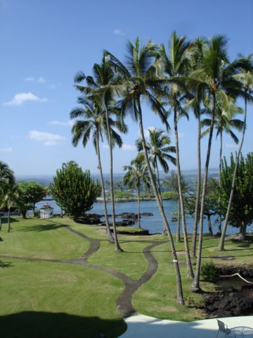 hilo.jpg