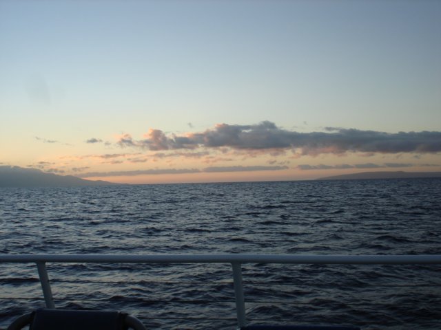 sunrisewhaletrip.jpg